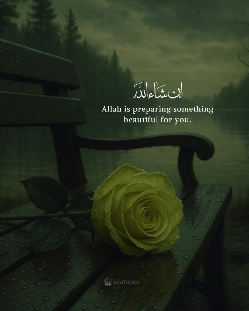 Allah is preparing something beautiful for you.