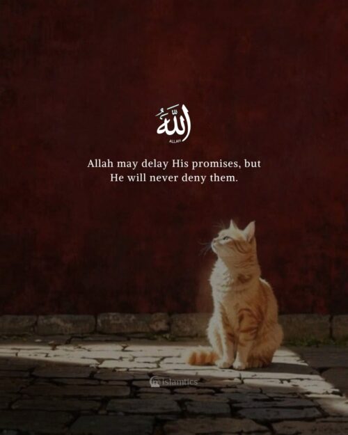 Allah may delay His promises, but He will never deny them.