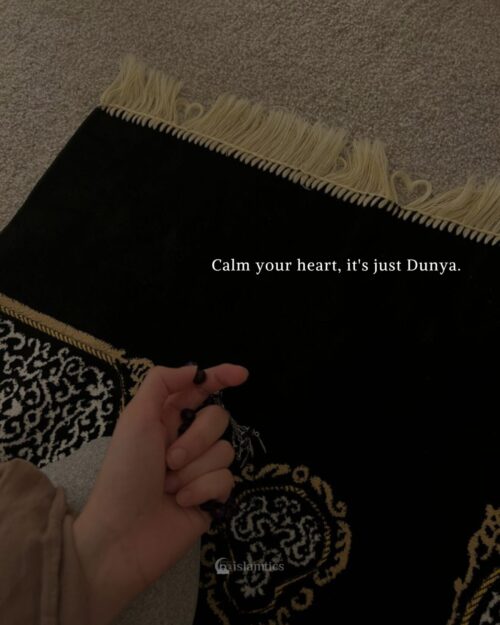 Calm your heart, it's just Dunya.