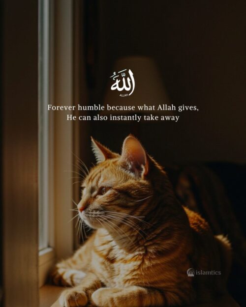 Forever humble because what Allah gives, He can also instantly take away