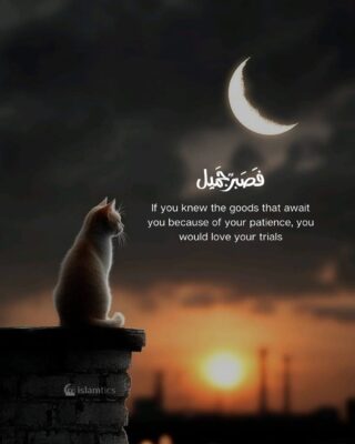 If you knew the goods that await you because of your patience,