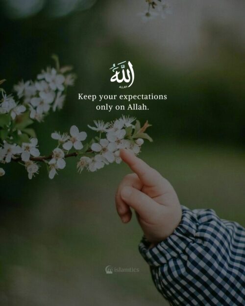 Keep your expectations only on Allah.