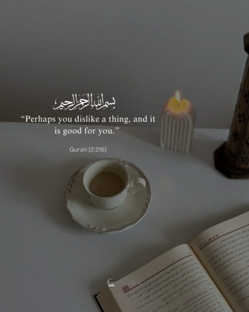 “Perhaps you dislike a thing, and it is good for you.”