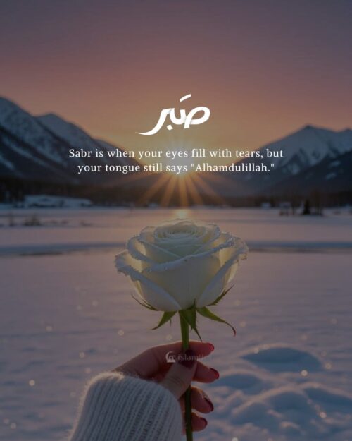 Sabr is when your eyes fill with tears, but your tongue still says "Alhamdulillah."