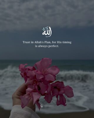 Trust in Allah's Plan, for His timing is always perfect.