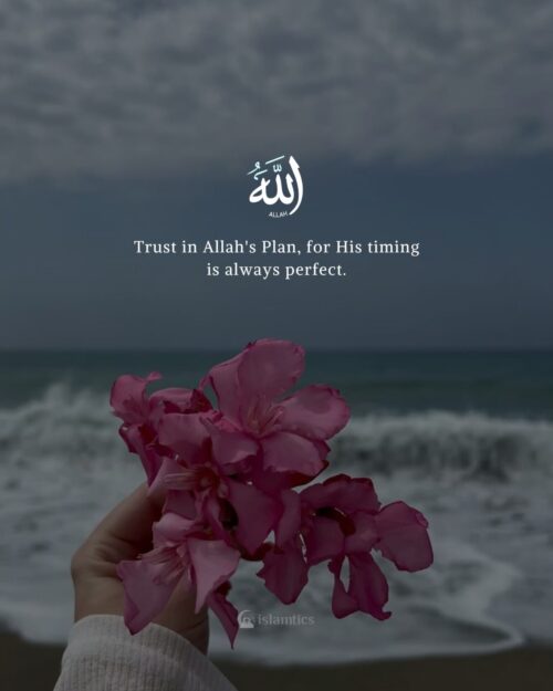 Trust in Allah's Plan, for His timing is always perfect.
