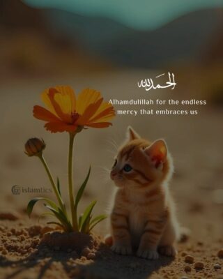 Alhamdulillah for the endless mercy that embraces us