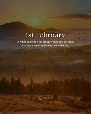 1st February
