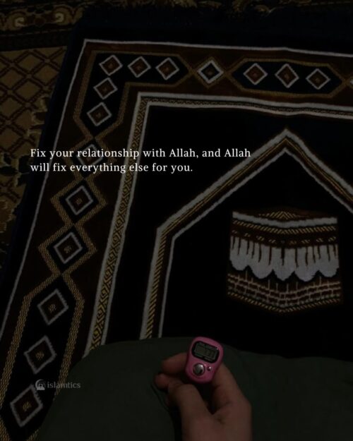 Fix your relationship with Allah, and Allah will fix everything else for you.