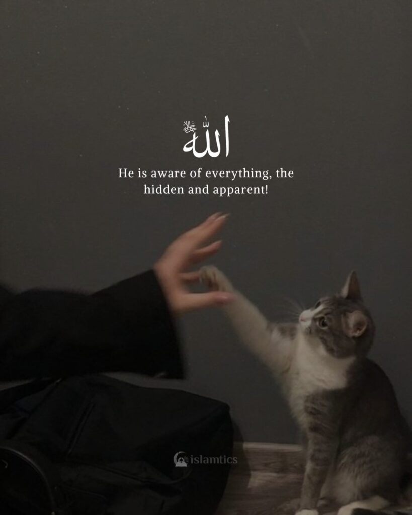 Allah is aware of everything, the hidden and apparent.