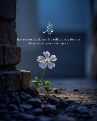Just rely on Allah, and He will provide for you from where you least expect
