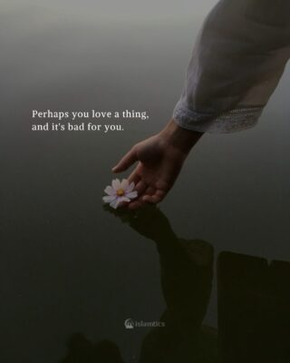 Perhaps you love a thing, and it’s bad for you.