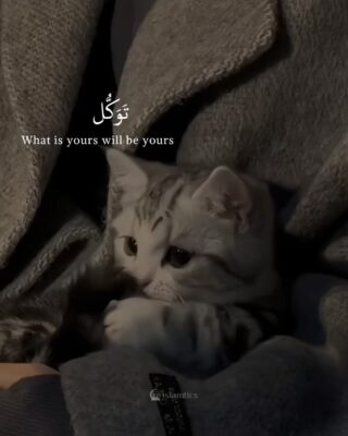 Stress less, what is yours will be yours