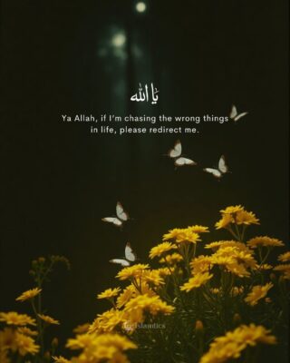 Ya Allah, if I’m chasing the wrong things in life, please redirect me.