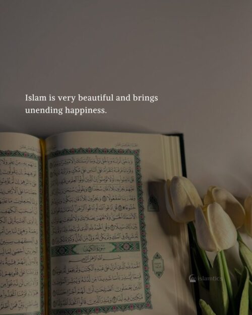 Islam is very beautiful and brings unending happiness.