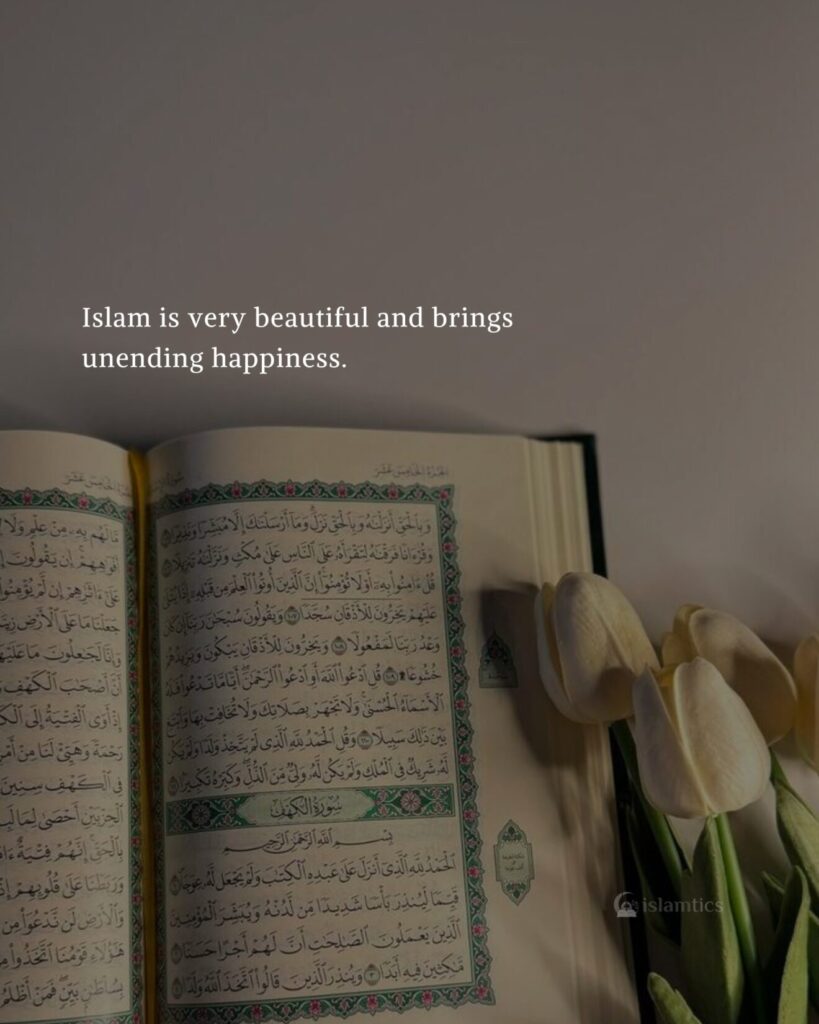 Islam is very beautiful and brings unending happiness.