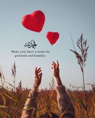 Make your heart a home for gratitude and humility.
