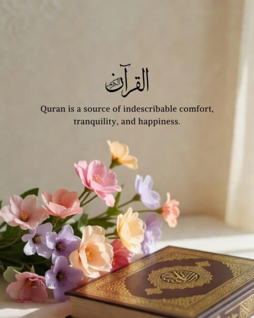 Quran is a source of indescribable comfort, tranquility, and happiness.