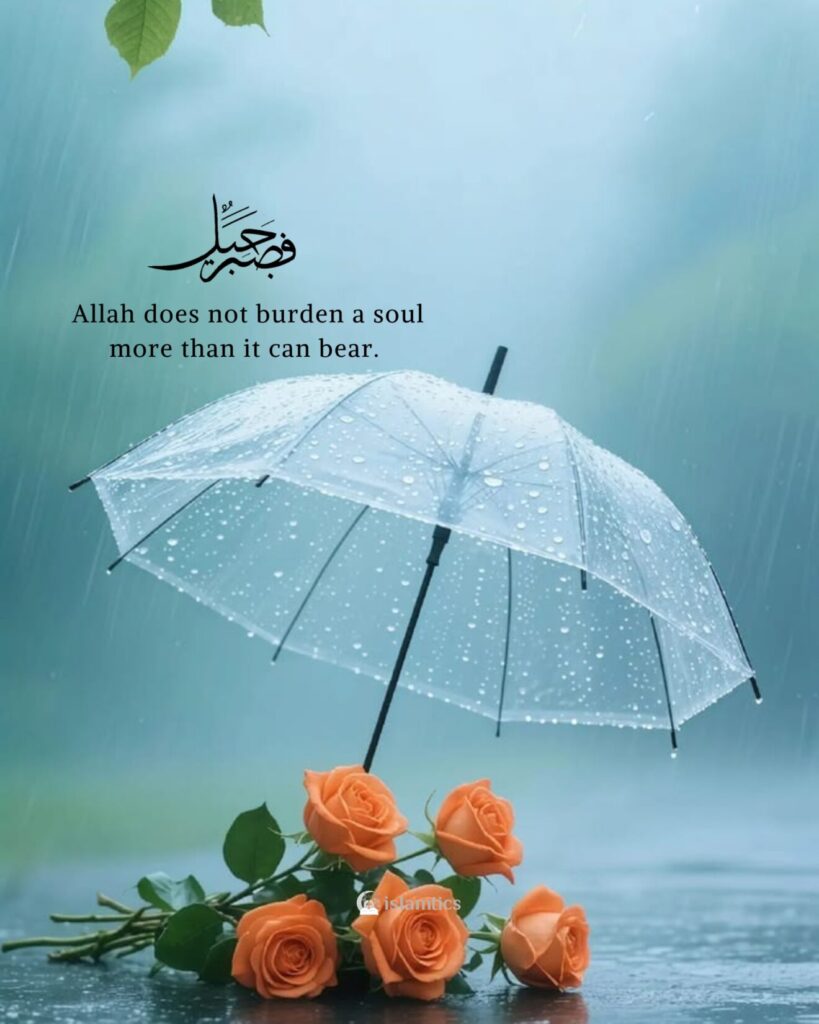 Allah does not burden a soul more than it can bear.