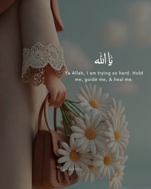.Ya Allah, I am trying so hard. Hold me, guide me, & heal me.