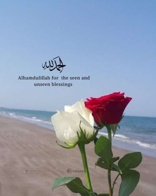 Alhamdulillah for the seen and unseen blessings