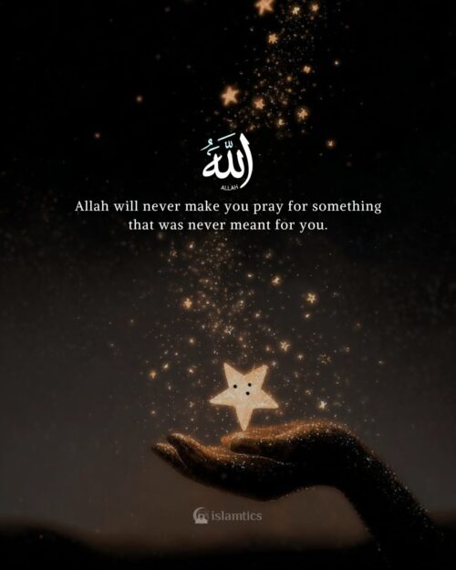 Allah will never make you pray for something that was never meant for you.