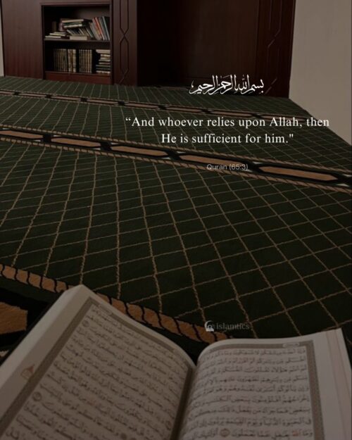 “And whoever relies upon Allah, then He is sufficient for him."