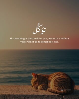 If something is destined for you, never in a million years will it go to somebody else.