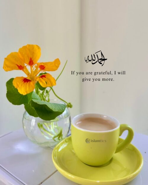 If you are grateful, I will give you more.