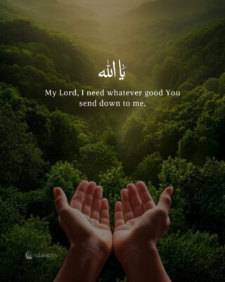 My Lord, I need whatever good You send down to me.