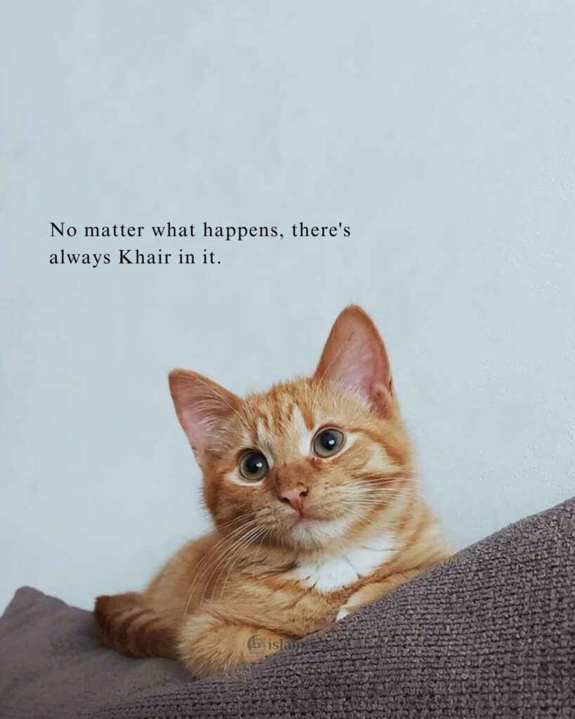 No matter what happens, there's always Khair in it.
