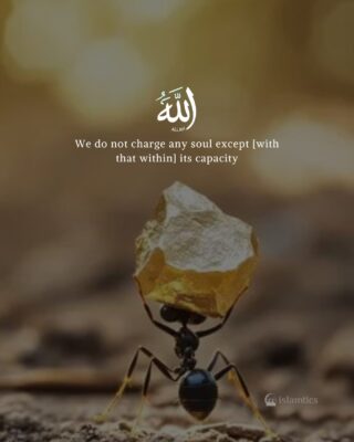 We do not charge any soul except [with that within] its capacity