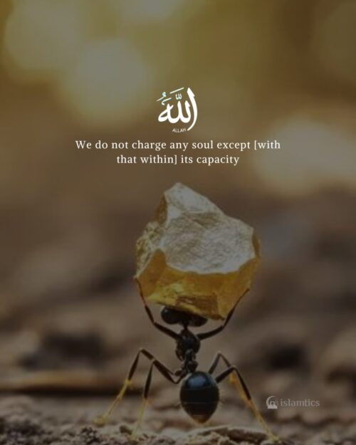 We do not charge any soul except [with that within] its capacity