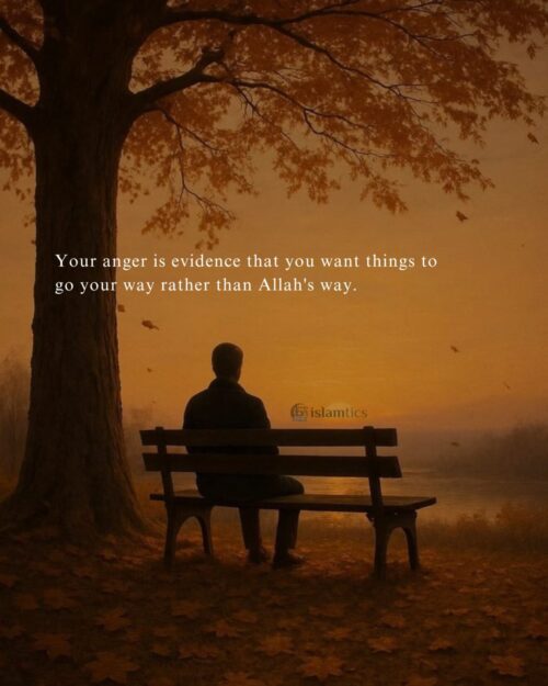 Your anger is evidence that you want things to go your way rather than Allah's way.