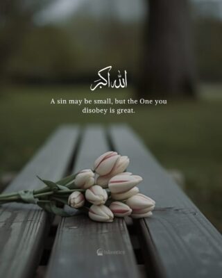 A sin may be small, but the One you disobey is great.