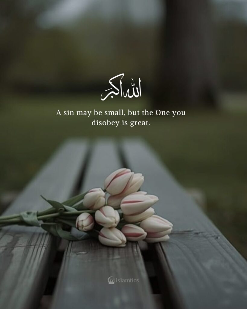 A sin may be small, but the One you disobey is great.