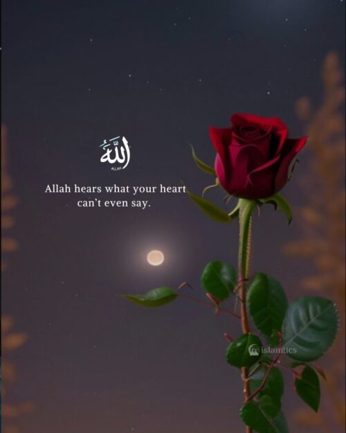 📿 The best free Islamic app Quran • Duas • Daily Reminders & much more Download now: islamtics.com/applink/