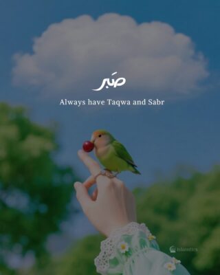 Always have Taqwa and Sabr