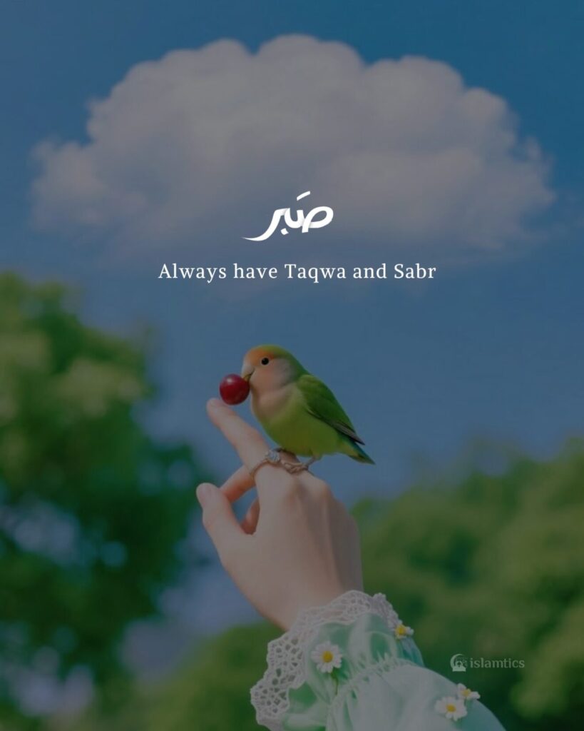 Always have Taqwa and Sabr