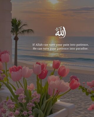 If Allah can turn your pain into patience, He can turn your patience into paradise.
