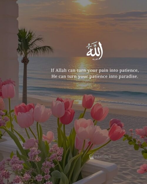 If Allah can turn your pain into patience, He can turn your patience into paradise.