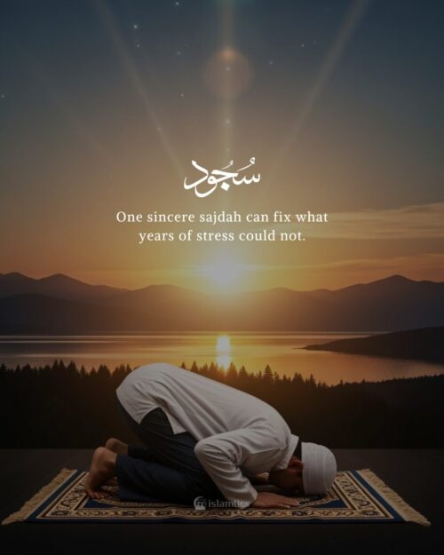 One sincere sajdah can fix what years of stress could not.