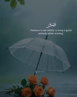 Patience is the ability to keep a good attitude while waiting.