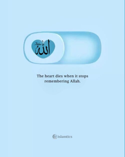 📿 The best free Islamic app Quran • Duas • Daily Reminders & much more Download now: islamtics.com/applink/