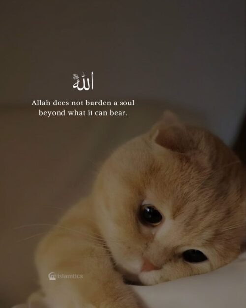 Allah does not burden a soul beyond what it can bear.