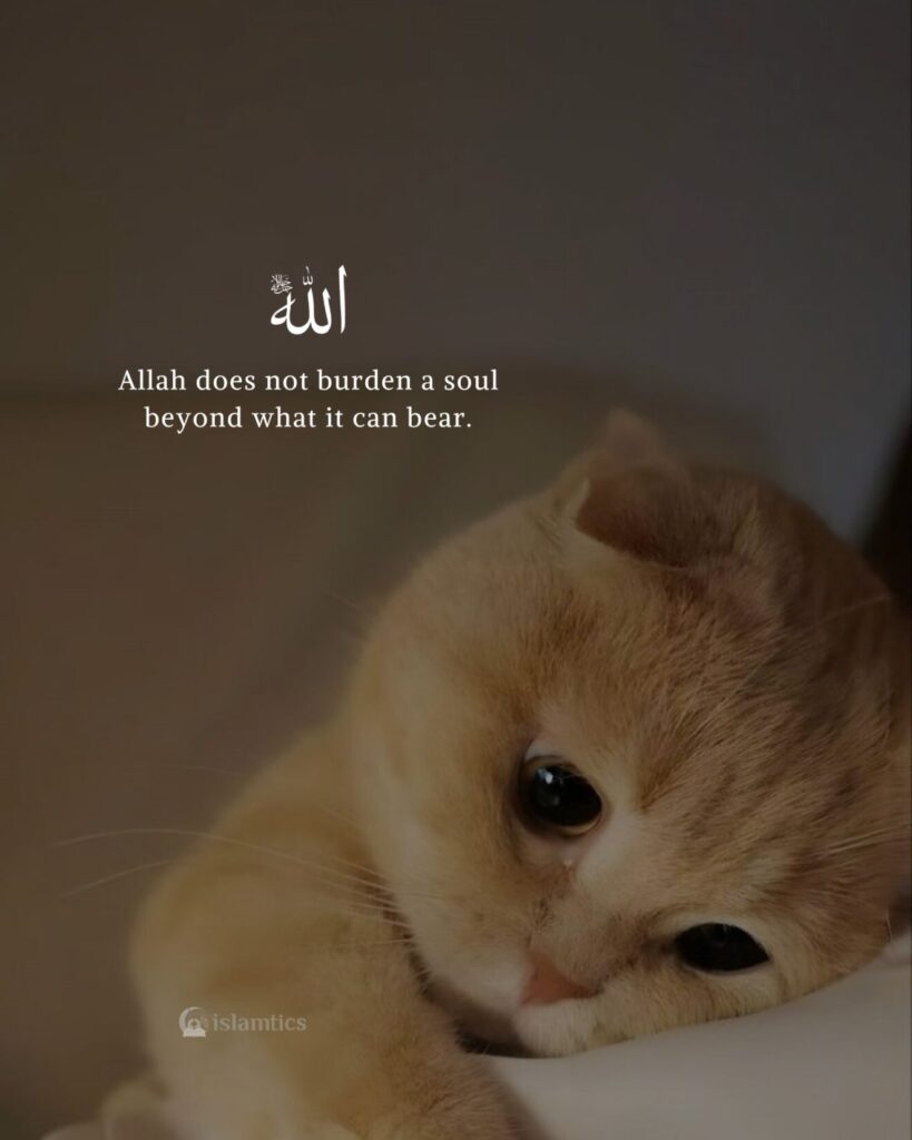 Allah does not burden a soul beyond what it can bear.
