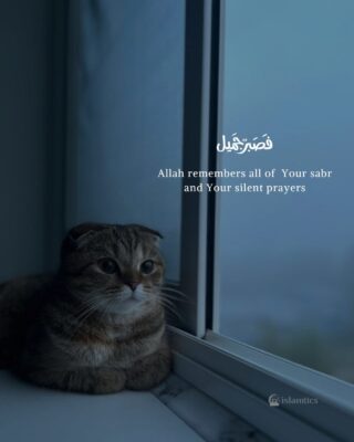 Allah remembers all of Your tears, Your sabr, and Your silent prayers