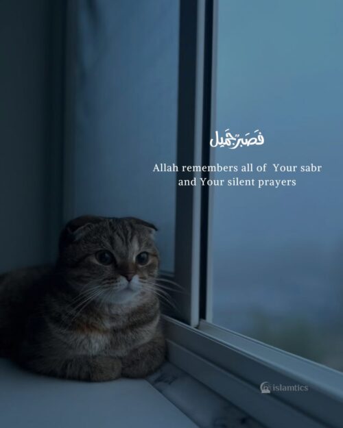 Allah remembers all of Your tears, Your sabr, and Your silent prayers