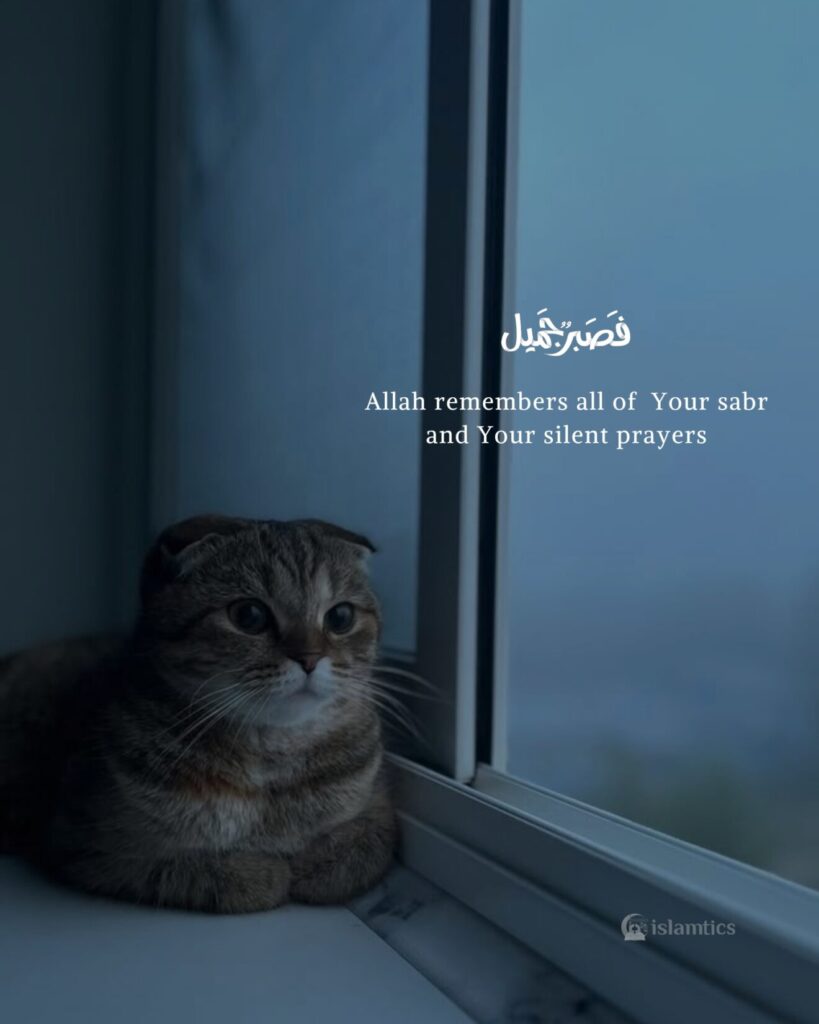 Allah remembers all of Your tears, Your sabr, and Your silent prayers