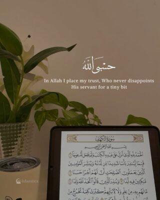 In Allah I place my trust, Who never disappoints His servant for a tiny bit